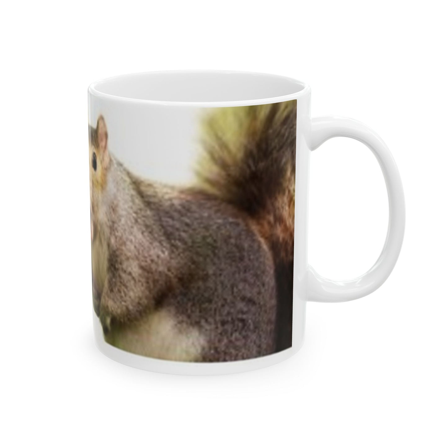 Mug - Funny Squirrel Where Are My Nuts 11oz/15oz Ceramic Mug